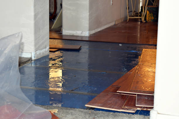 Professional Basement Water Removal technician working in Lenapah, OK